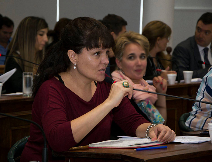 ¿Qué dicen los concejales?