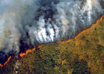 La Amazonia en llamas