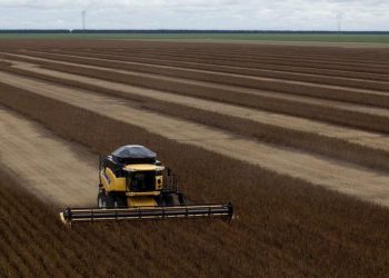 Cosecha récord en Brasil