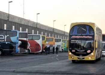 El Gobierno habilitó el transporte de pasajeros