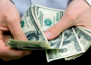 ¿Donde van los verdes cuando llueven?