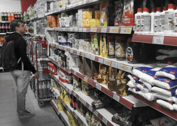 Ganancias de las alimenticias