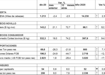 Entre la carne sobre la mesa y los dólares de exportación