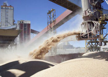 La disputa del poder