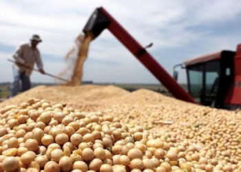 Con su dólar a 200 pesos, exportadores ya liquidaron más de 2.200 millones