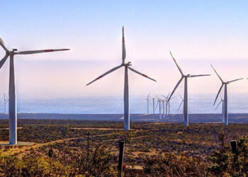 Llega otro crédito del BID para ampliar el mercado verde