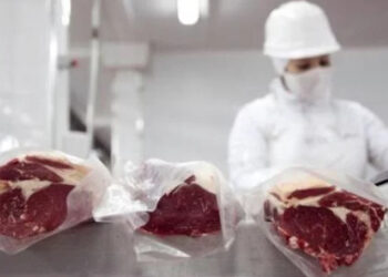 Récord de carne exportada