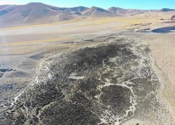 “Livent secó 11 kilómetros de vega del río Trapiche”