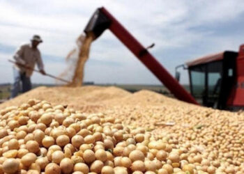 Estímulo para agro-exportadoras