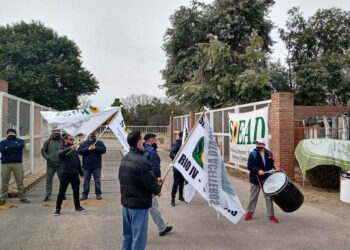 Dánica cerró una fábrica y despidió 110 trabajadores
