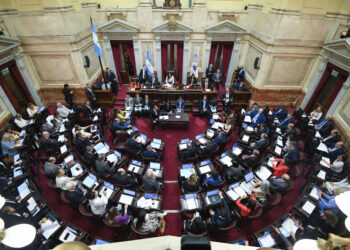 Rechazo del Senado al DNU