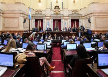 Monotributo, privatizaciones y RIGI