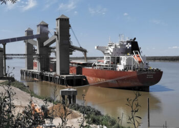 Un decreto a medida de las agroexportadoras