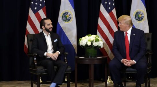 Trump con Bukele. Trump con Bukele.