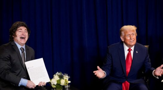 Trump y Javier Milei Trump y Javier Milei